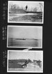 alb14-45.jpg